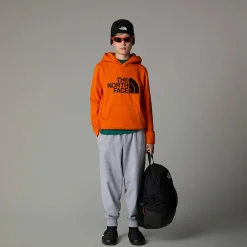 Dzieci The North Face Chłopięca Bluza Z Kapturem Drew Peak