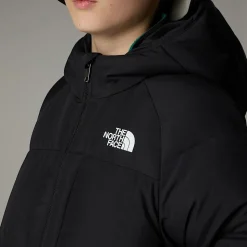 Dzieci The North Face Chłopięca Kurtka Puchowa Z Kapturem North