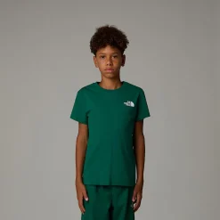 Dzieci The North Face Chłopięcy T-shirt Redbox