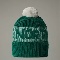 The North Face Czapka Beanie Retro Cabin