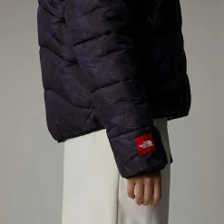 The North Face Damska Syntetyczna Kurtka Puffer 2000