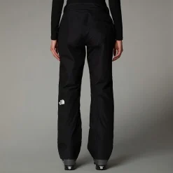 The North Face Damskie Ocieplane Spodnie Dawnstrike GORE-TEX®