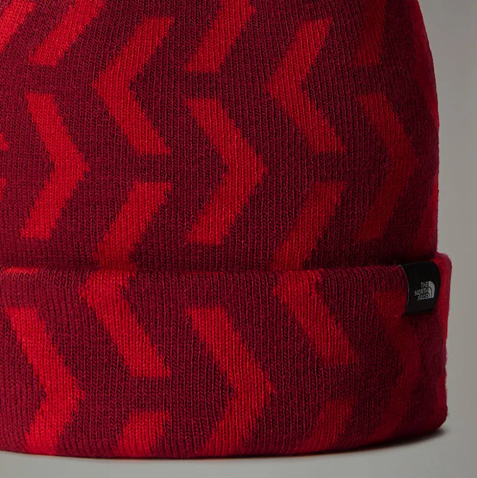 Dzieci The North Face Dziecięca Czapka Beanie Ski Tuke