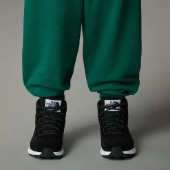 Dzieci The North Face Dziecięce Buty Turystyczne Back-To-Berkeley IV