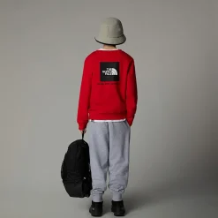 Dzieci The North Face Młodzieżowa Bluza Redbox