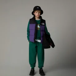 Dzieci The North Face Młodzieżowy Bezrękawnik 1996 Retro Nuptse