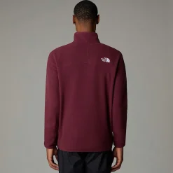The North Face Męski Polar Z Zamkiem Błyskawicznym O Długości 1/4 100 Glacier