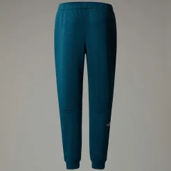 The North Face Męskie Joggersy Polarowe Reaxion