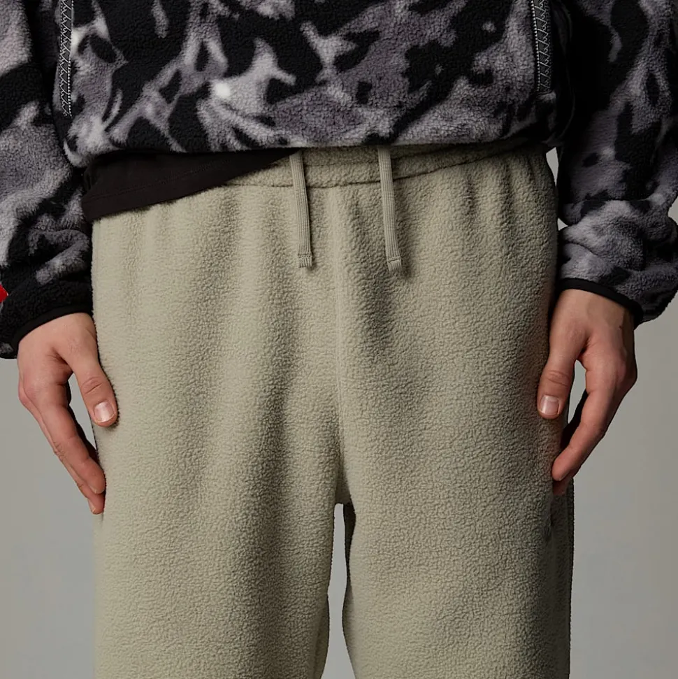 The North Face Męskie Joggersy TNF Fleeski