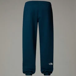 The North Face Męskie Joggersy Z Grafiką Varsity