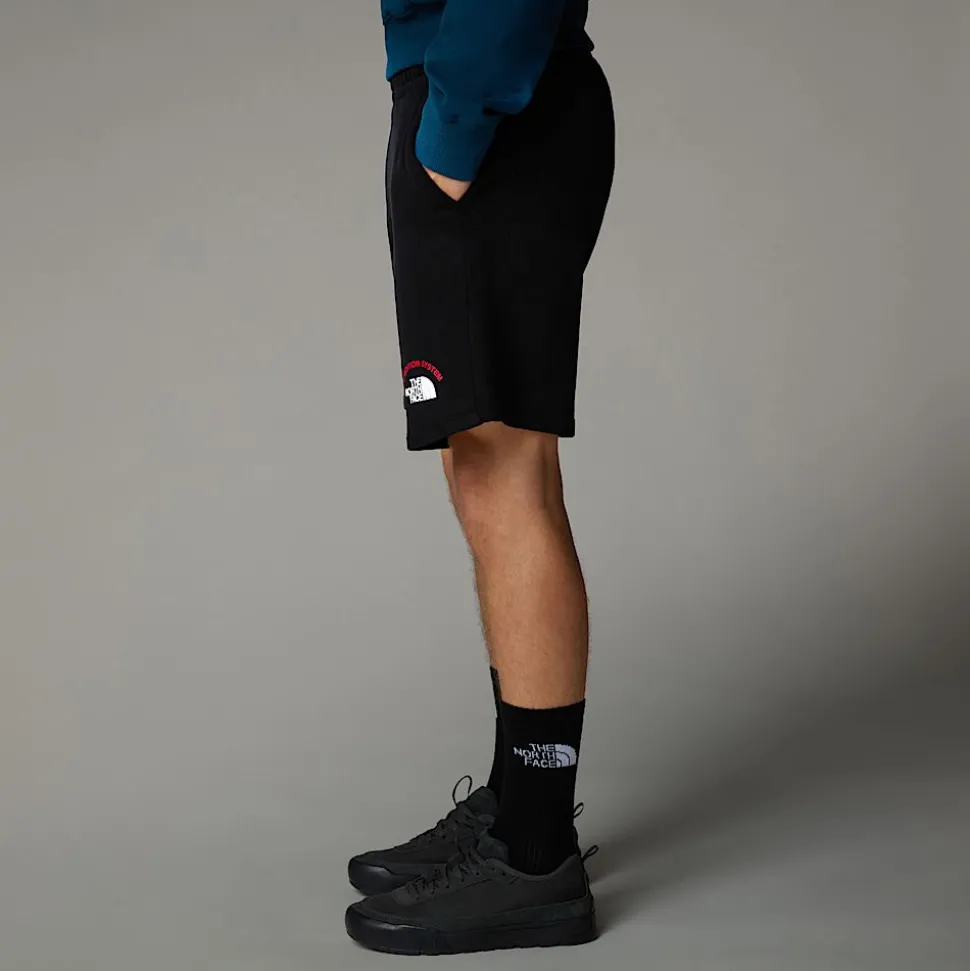 The North Face Męskie Szorty Z Grafiką Expedition System