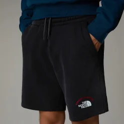 The North Face Męskie Szorty Z Grafiką Expedition System