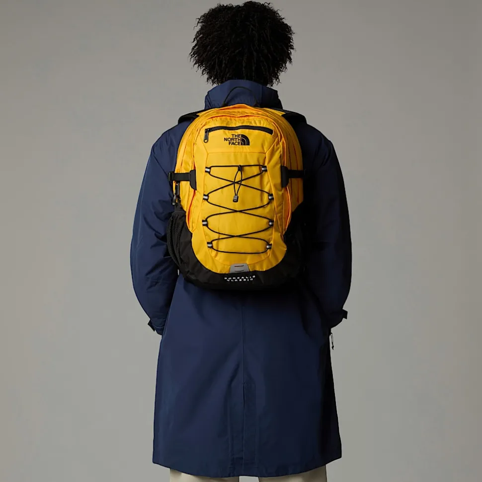 Damskie/Męskie The North Face Plecak Borealis Classic