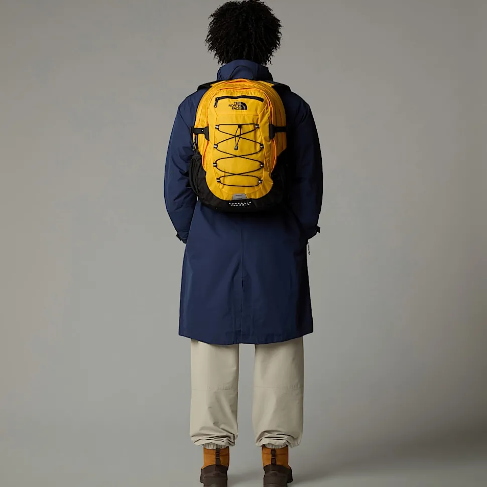 Damskie/Męskie The North Face Plecak Borealis Classic